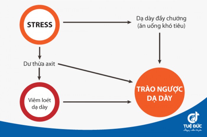 trao nguoc da day thuc quan benh cua ap luc va stress