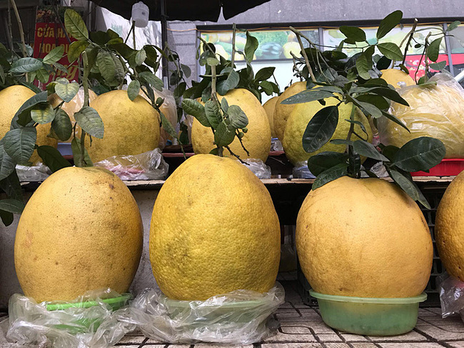 Những loại bưởi tiền triệu ngày Tết