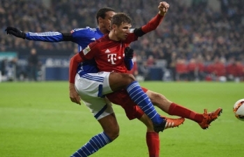 Xem trực tiếp bóng đá Bayern Munich vs Schalke 04 (VĐ Đức), 0h30 ngày 10/2