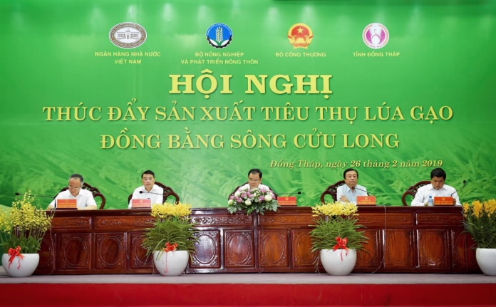 Vốn ngân hàng sẵn sàng cho sản xuất, chế biến, tiêu thụ sản phẩm lúa gạo