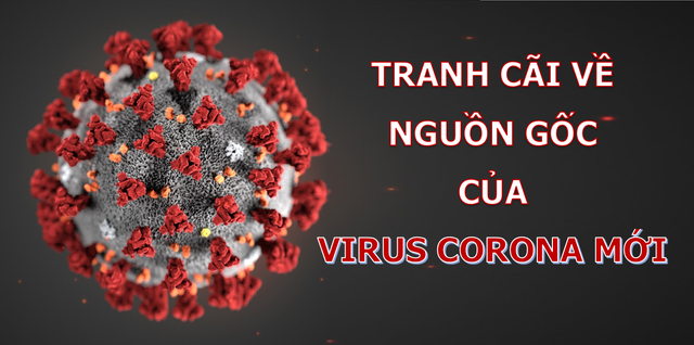 Phát hiện đầy bất ngờ về nguồn gốc của virus corona mới