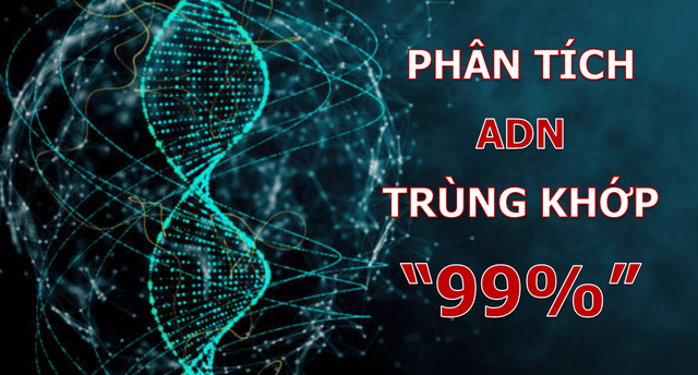 Phát hiện đầy bất ngờ về nguồn gốc của virus corona mới