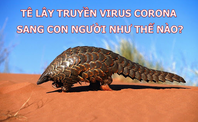 Phát hiện đầy bất ngờ về nguồn gốc của virus corona mới