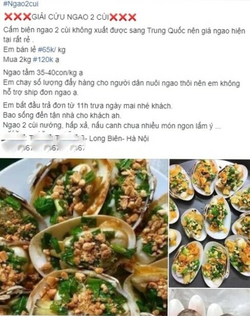Gắn mác 