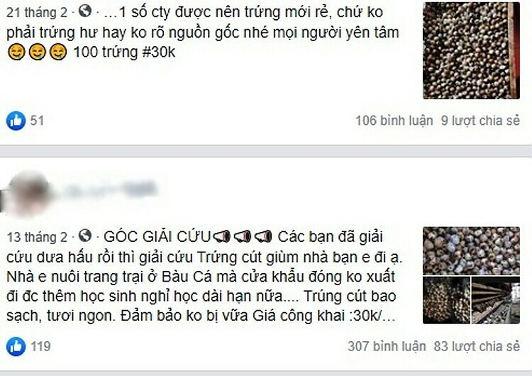 Gắn mác 