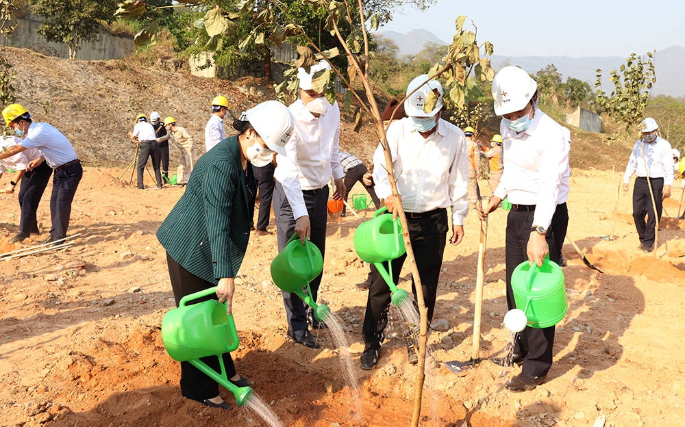 EVN phấn đấu trồng 100 nghìn cây xanh trong năm 2021