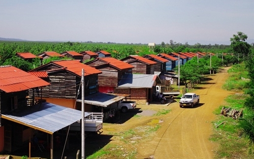 Chủ tịch Thaco mua 20.000 ha đất của Bầu Đức
