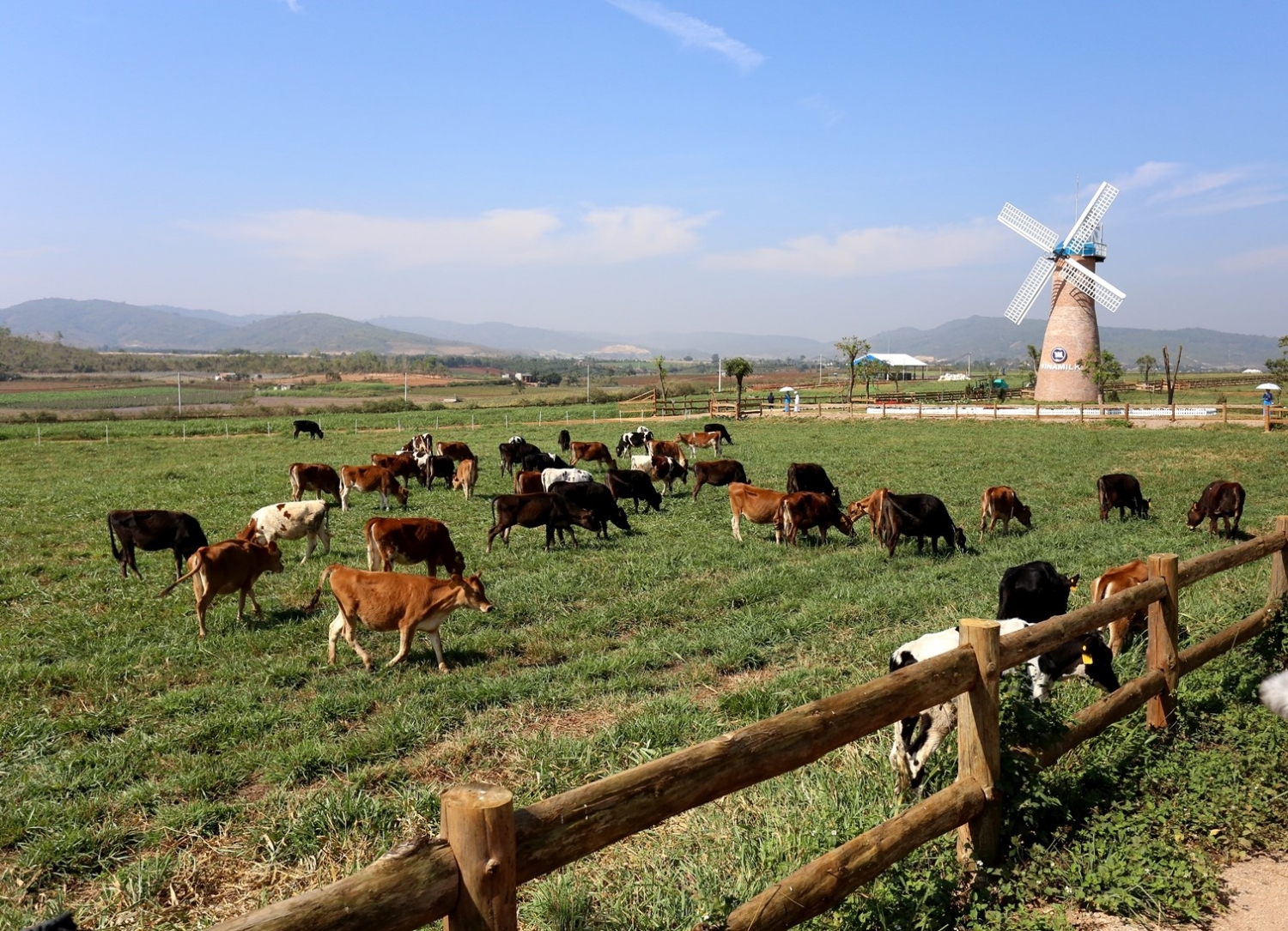 Không chỉ có sữa nước, sữa bột trẻ em Vinamilk cũng đang dẫn đầu thị trường