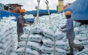 Thanh tra việc chấp hành quy định về xuất khẩu gạo