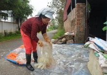 ngu dan binh dinh trung lon loc bien kiem tien trieu chi vai gio