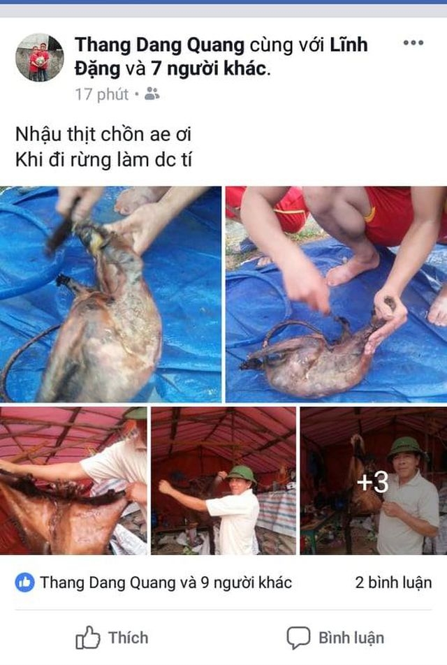 Truy tìm nhóm người nghi giết chồn bay quý hiếm rồi đăng Facebook