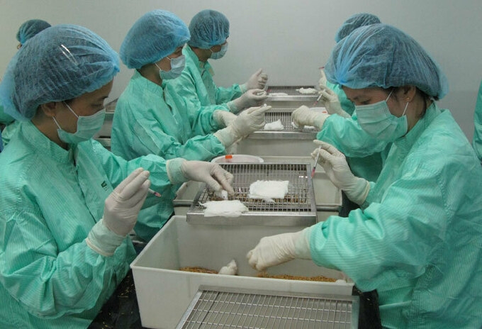 viet nam tim cach phat trien nhanh vaccine covid 19