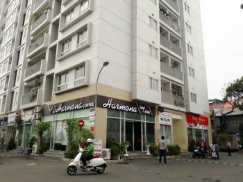 Hiểu sao cho đúng về vụ chung cư The Harmona?