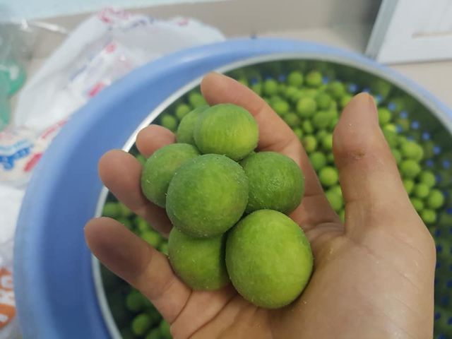 doanh nhan viet bo tien ty mua bonsai nhat dan thuong sang chanh an duoi tom hum 3 trieu dongkg