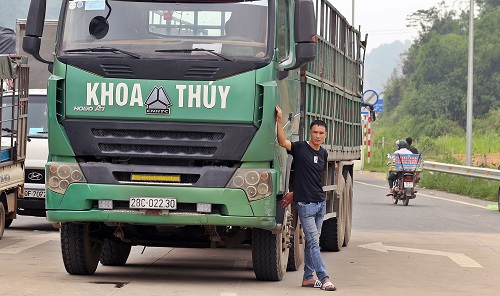 bot hoa lac bi chan hai ngay lien tiep