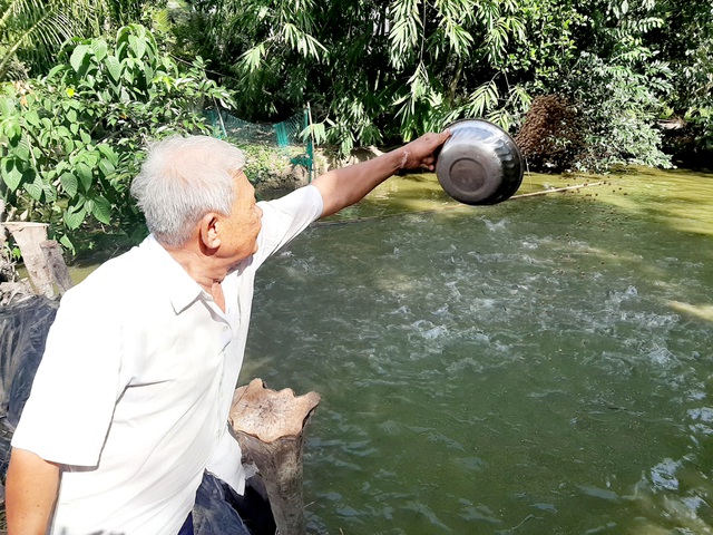 Thương binh vượt khó với vườn - ao - chuồng vươn lên làm giàu ở quê hương