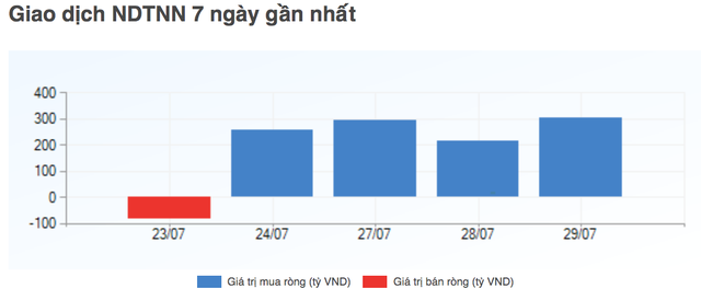Ai đã âm thầm chi tiền khi chứng khoán Việt bị bán tháo?