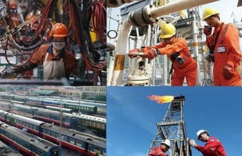 Nhà nước nắm giữ 100% vốn điều lệ của doanh nghiệp hoạt động trong lĩnh vực nào?