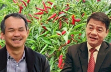 ty phu tran ba duong rot tien tuoi bau duc nham muc tieu ong trum nong nghiep