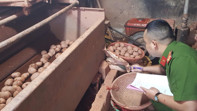 lat mat tieu thuong phu phep khoai tay trung quoc thanh hang da lat
