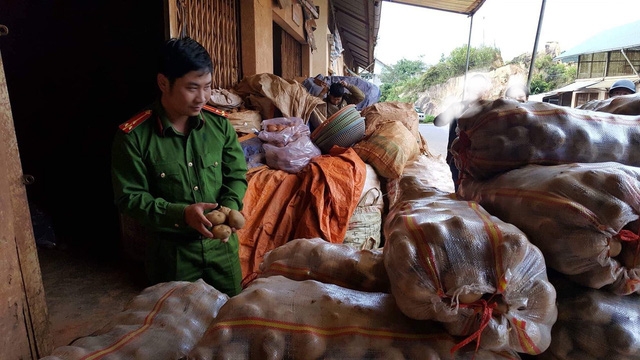 phat hien them 1 vu che bien khoai tay trung quoc thanh hang da lat