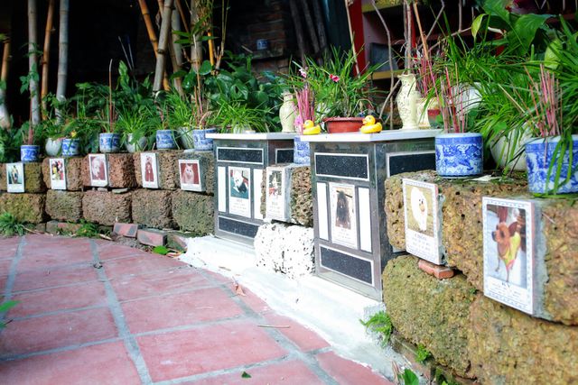 Người Hà Nội đi tảo mộ thú cưng, khóc nức nở trước di ảnh vật nuôi