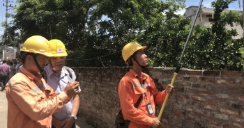 Chuyên gia: Thời điểm này chưa thích hợp để đưa ra điện một giá