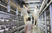 VNPOLY vượt khó nâng công suất sản xuất sợi DTY