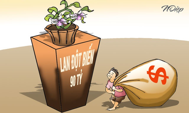 Thiên hạ thời nay lắm người giàu… khủng khiếp!