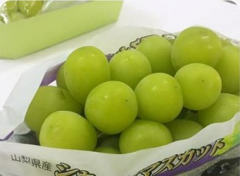 Nho xanh 1,3 triệu đồng/kg: Đắt vô địch, Hà thành tranh mua
