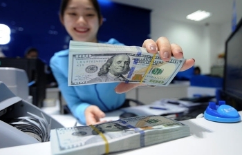 Tỷ giá ngoại tệ ngày 8/9: USD lên đỉnh, EUR lao dốc