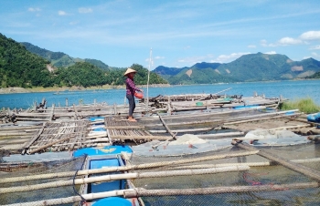 Bảo vệ hành lang hồ chứa thủy điện: Đổi thay ở Hiền Lương