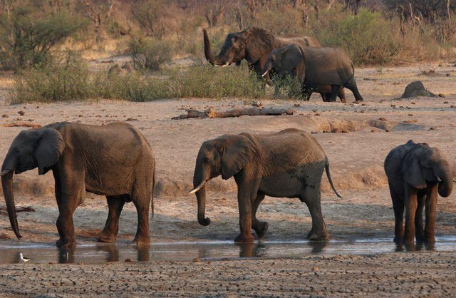 Lo hệ lụy môi trường, Zimbabwe rút giấy phép khai mỏ của công ty Trung Quốc - 1