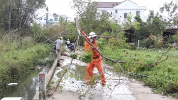 Đã khôi phục vận hành tất cả lưới điện truyền tải bị sự có do bão Noru