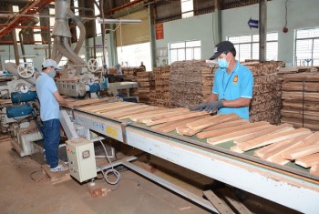 CEO Việt Nam “căng não” giữ nhân lực sau hội nhập