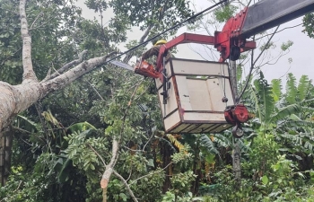 Điện lực Hương Sơn dồn sức khắc phục nhanh hậu quả hoàn lưu bão số 9