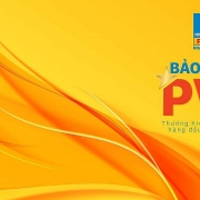 Bảo hiểm PVI lọt Top 50 Doanh nghiệp lợi nhuận tốt nhất Việt Nam