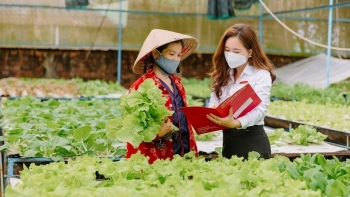 Agribank khẳng định vai trò ngân hàng chủ lực trong xây dựng nông thôn mới