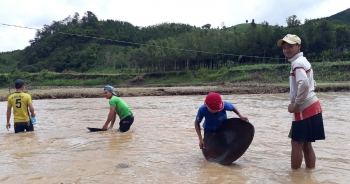 Liều mình lội sông tìm vàng sau bão