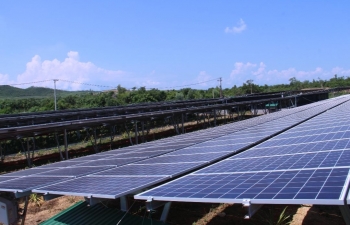 Điện mặt trời: "Chạy deadline" 31/12