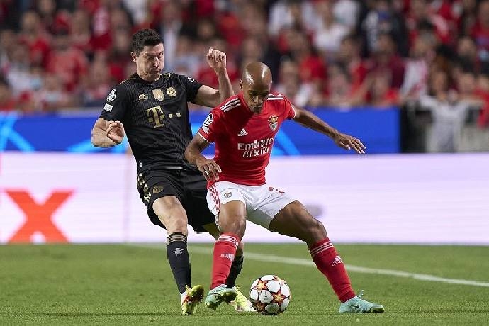 Link xem trực tiếp Bayern vs Benfica (Cup C1 Châu Âu), 3h ngày 3/11