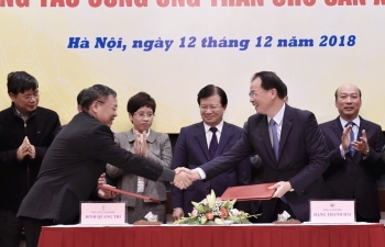 Nguy cơ thiếu điện nếu không giải quyết tốt việc cung ứng than