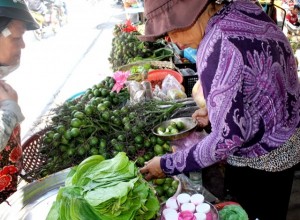 Còn đâu giống trầu cau ngon nức tiếng Nam Bộ
