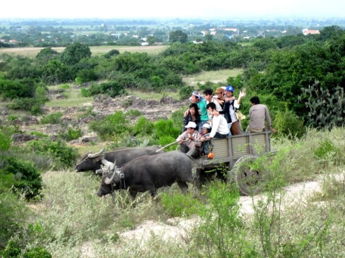 trai nghiem homestay cung cong dong nguoi cham ninh thuan