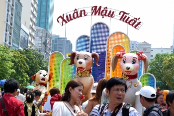 TPHCM: Đường Hoa Nguyễn Huệ Tết Kỷ Hợi mở cửa trong 7 ngày