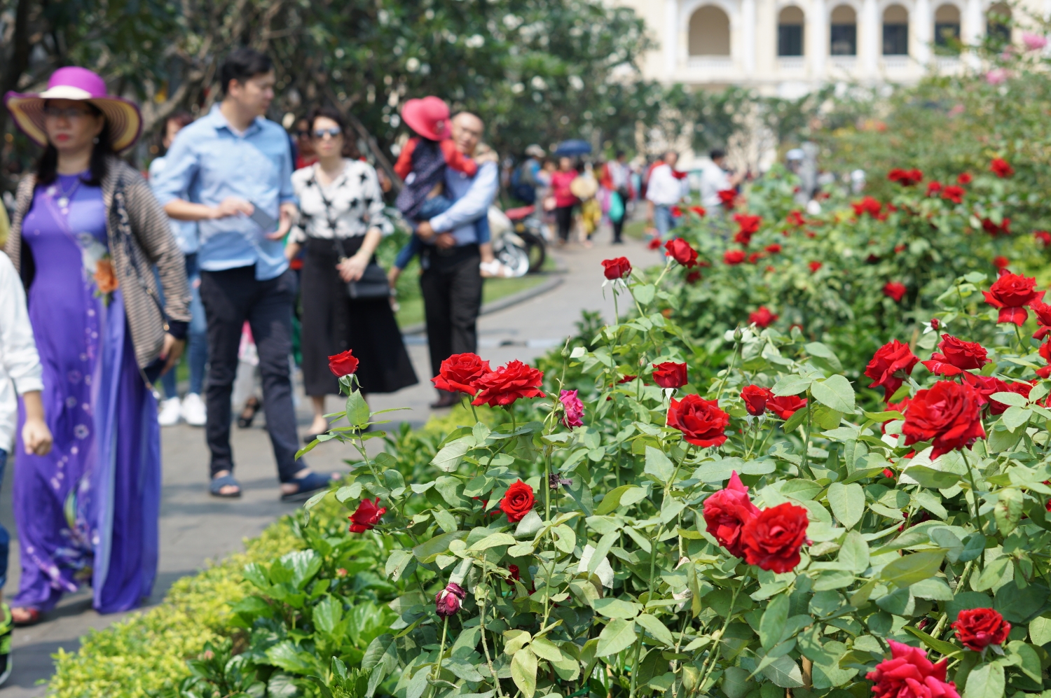 tphcm duong hoa nguyen hue tet ky hoi mo cua trong 7 ngay