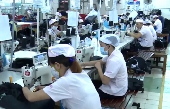TP HCM: Nhu cầu nhân lực quý III/2018 tăng gấp 2 lần so với cùng kỳ