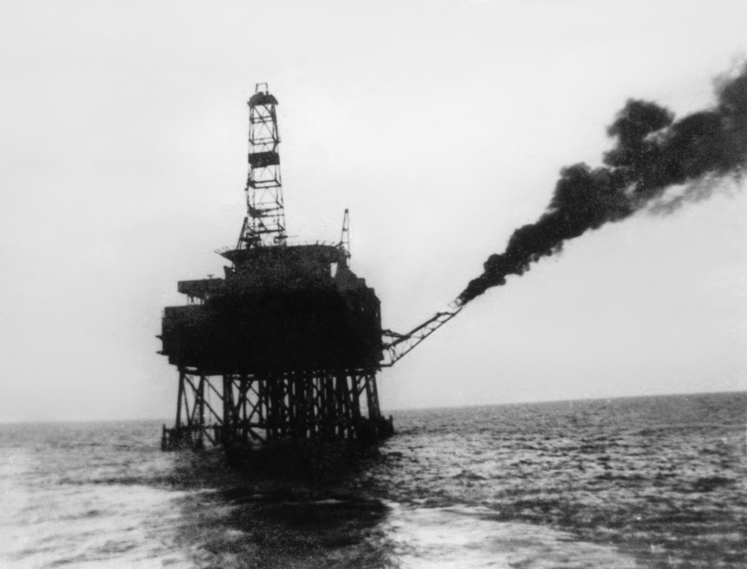 vietsovpetro sau nang nghia tinh