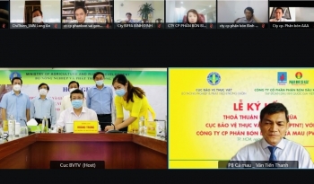 Phân bón Cà Mau – Cục BVTV ký kết MOU: Chiến lược sản phẩm phù hợp định hướng phát triển nông nghiệp bền vững
