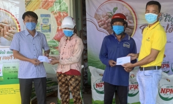 Phân bón Cà Mau: Chủ động nguồn cung đa dạng cho vụ Đông Xuân 2021-2022